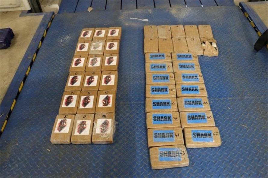 U riječkoj luci zaplijenili čak 85 kila kokaina. Sakrili su ih među bananama, stigle iz Ekvadora...