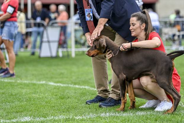 Velika Gorica: IDC Svjetsko prvenstvo pasmine doberman