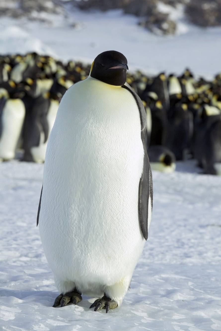 Reuters/Pixsell