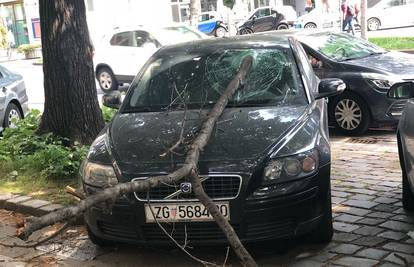 Snažan vjetar odlomio granu koja je pala na parkirani auto