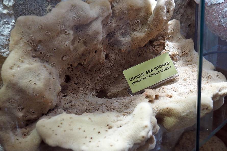 Šibenik: Skočite do Krapnja po spužve i koralje i saznajte tko su žene koje su oblikovale grad