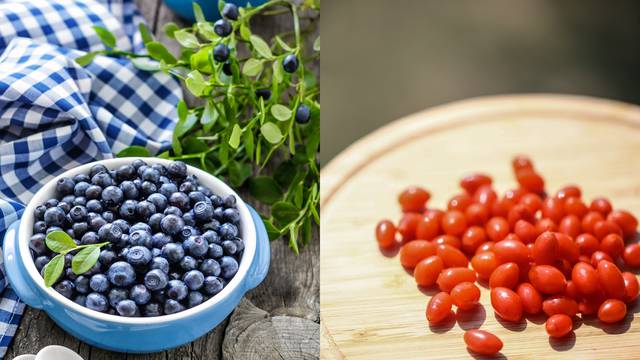 Šaka zdravlja: Borovnica bolje čuva mozak i vid od goji bobica