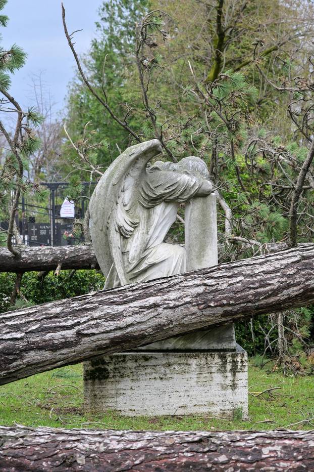 Zagreb: U nevremenu teško  oštećeno gradsko groblje Mirogoj