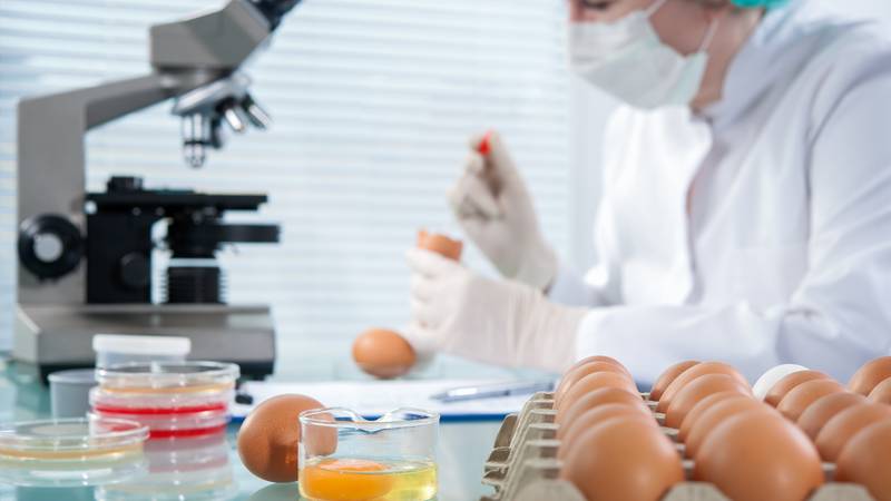 Salmonela hara Europom! Evo kako se zaštititi od zaraze i koji su najčešći simptomi
