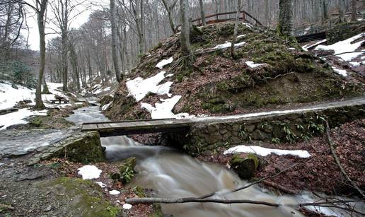 Odbor za okoliš: Na Medvednici nema prekomjerne sječe