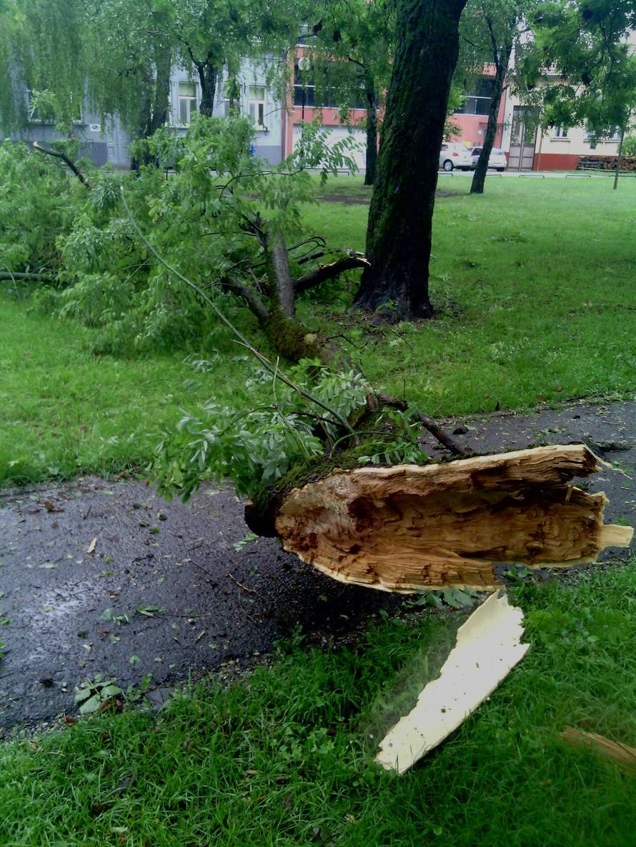 čitatelj 24sata