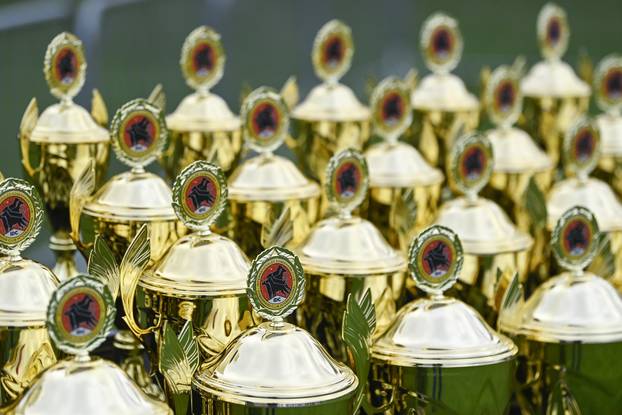 Velika Gorica: IDC Svjetsko prvenstvo pasmine doberman