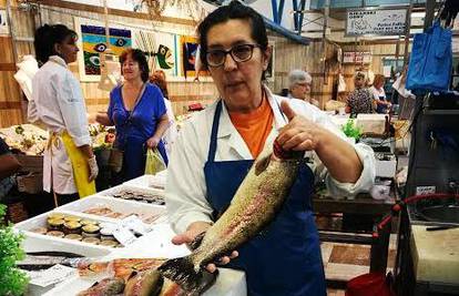 Crvena losos pastrva najveća je, pa je na tržnici i najskuplja