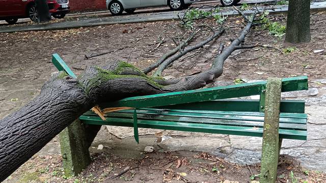 Kratkotrajna oluja rušila stabla u Beogradu