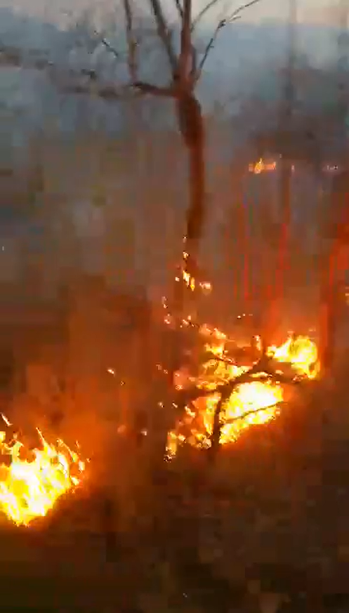 Vatrogasci ljuti: 'Tko normalan još podmeće požar na Uskrs?!'