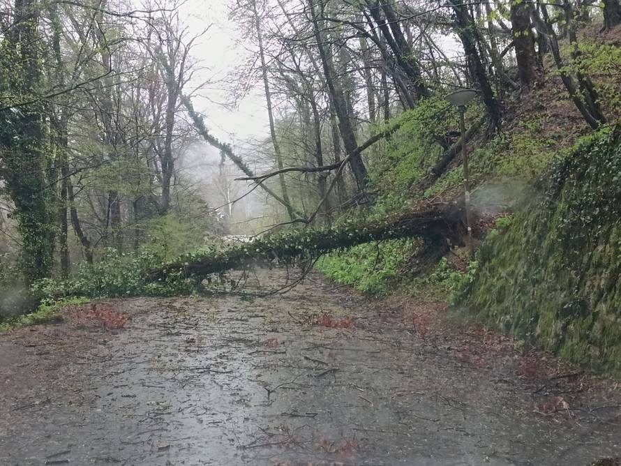 FOTO Evo kako izgleda Sljeme nakon snažnog nevremena