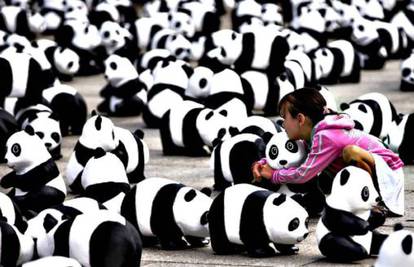 Na putu oko svijeta: 1600 pandi okupiralo Hong Kong 
