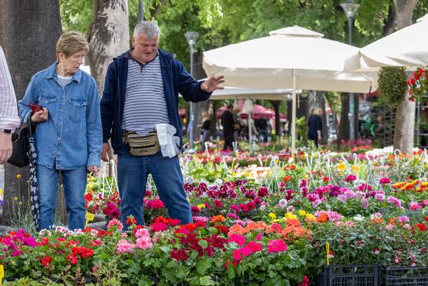 Pula: 17. Florija (sajam cvijca) na Giardinima