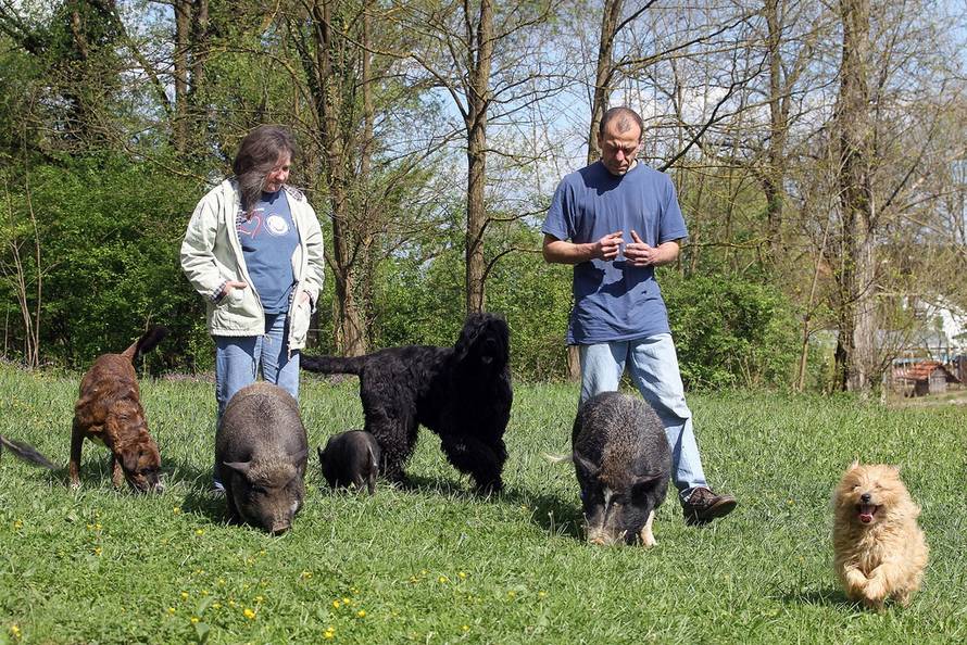 Željko Hladika/Pixsell