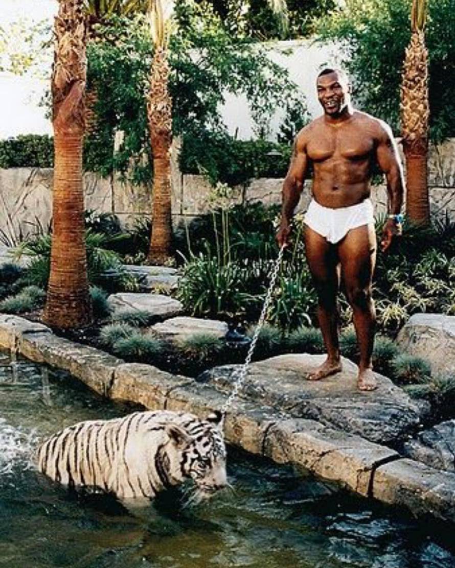 Jackson vodio ljamu u studio, a Karl mački ostavio milijune...