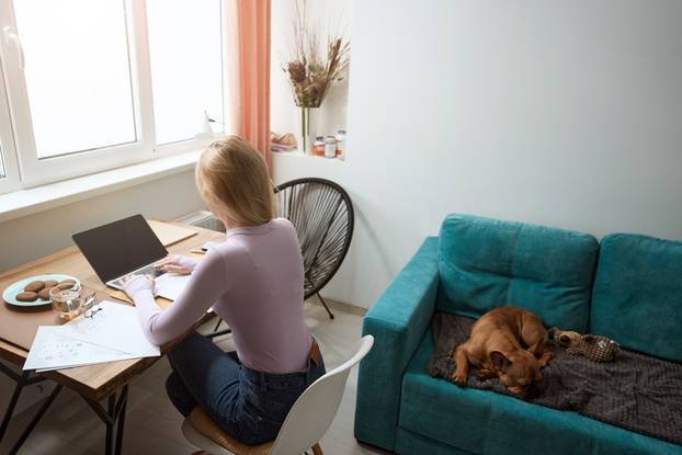 Female freelancer working on portable computer in home office