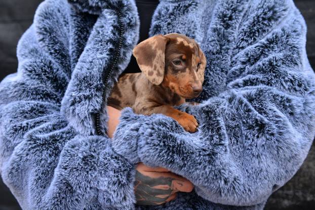 TOP 100 fotografija u 2024. godini
 