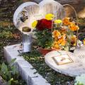 FOTO Lampaši i cvijeće za kućne ljubimce: Građani su obišli i groblje za životinje u Rijeci