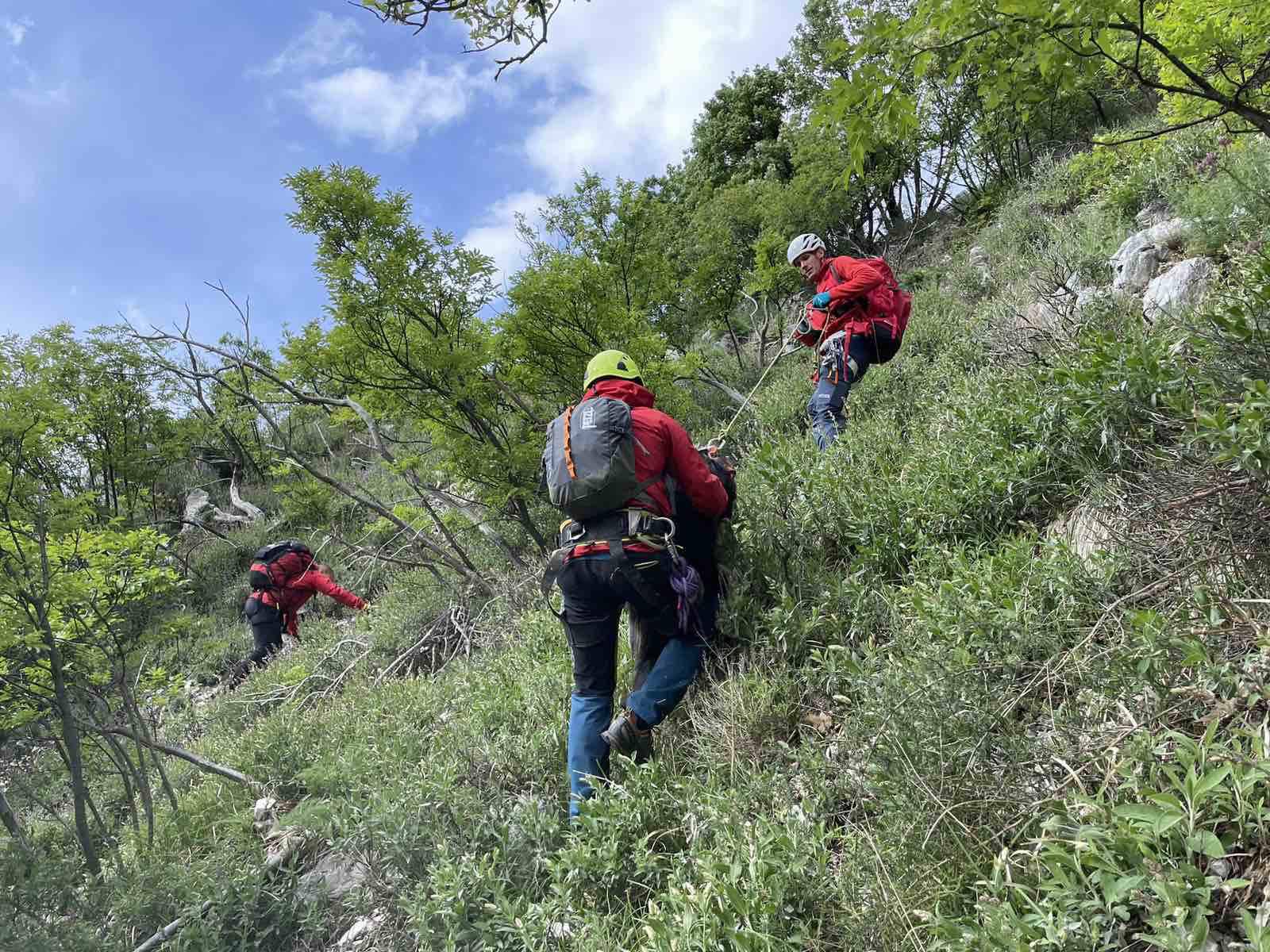 Riječki HGSS u dvodnevnoj akciji spasio psa koji je pao u provaliju u zaleđu Brseča