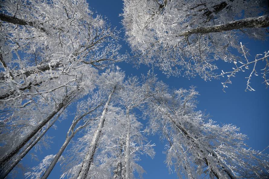 Zagreb: Dok je grad obavijen maglom, Sljeme je okupano suncem 