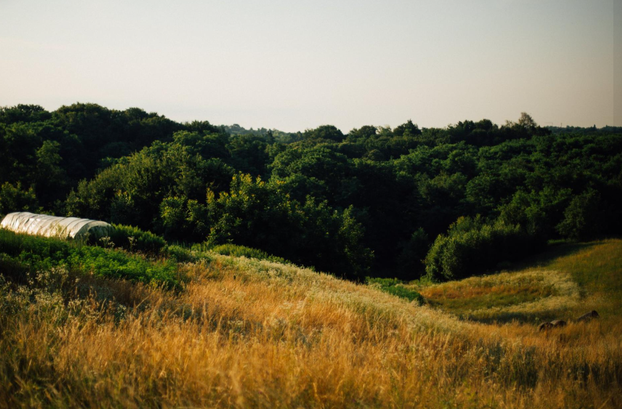 FOTO Najljepše pješačke staze u Hrvatskoj: Izgledaju bajkovito