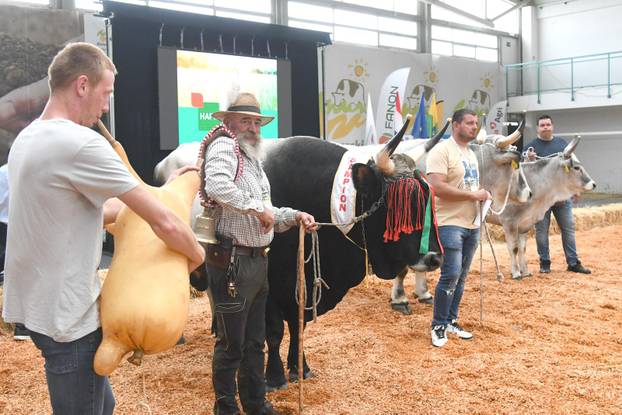 Gudovac: Boškarin Monte osvojio šampionsku titulu i prestižno šampionsko zvono