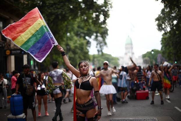 LGBTQ+ community comes together for diversity parade, in Buenos Aires