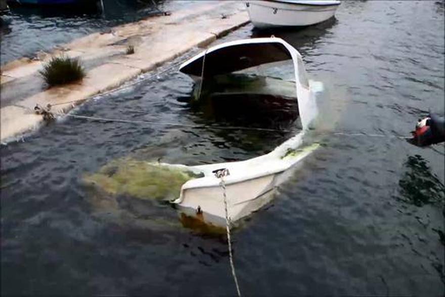 Hrvoje Jelavić/PIXSELL