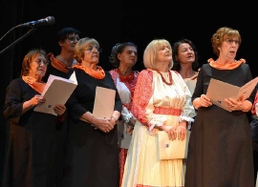 Kulturno-zabavna manifestacija 'I mi smo zvijezde' bit će online