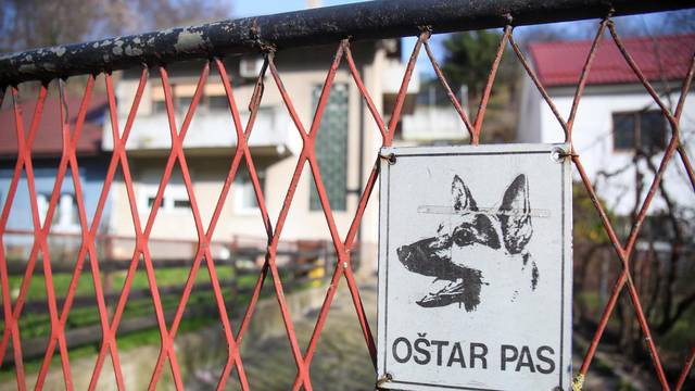 Zagreb: Na Kustošiji pas pobjegao iz dvorišta i napao dijete