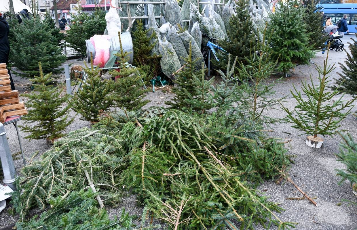 Božićno ludilo u Zagrebu: Dvoje u bolnici, tukli se zbog borova