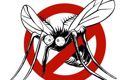 Kućni insekticidi imaju malo opasnih tvari, ali ipak pazite