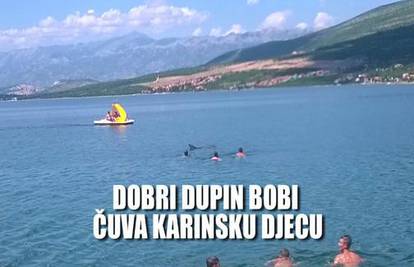 Veselje na karinskoj plaži: Dupin Bobi svako jutro pliva s djecom