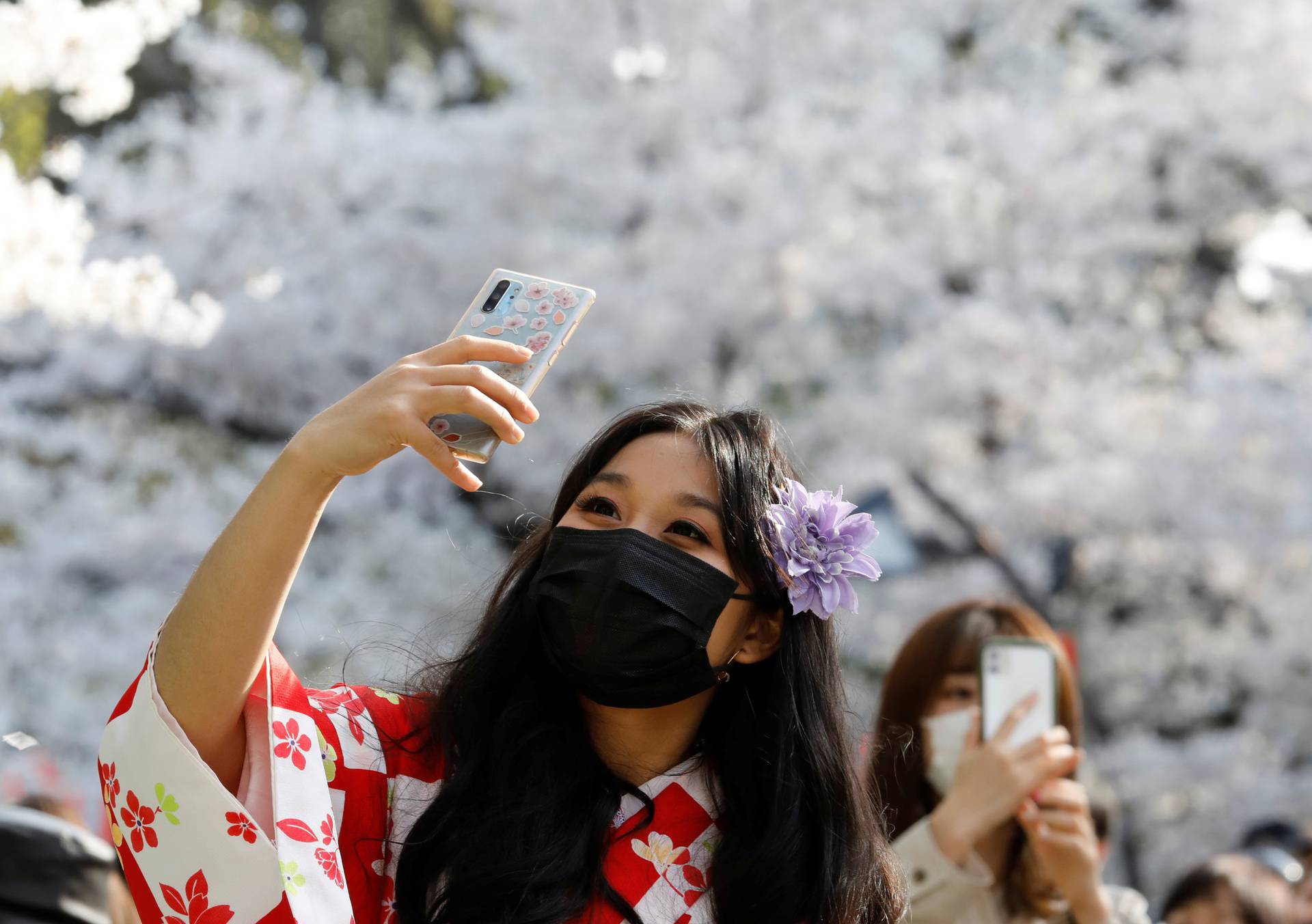 Rekord 2021.: Trešnje u Japanu procvjetale ranije nego ikad