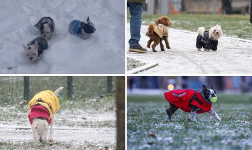 VIDEO Trebaju li nekome ralice? Preslatki francuski buldozi u&zcaron;ivali u svom prvom snijegu