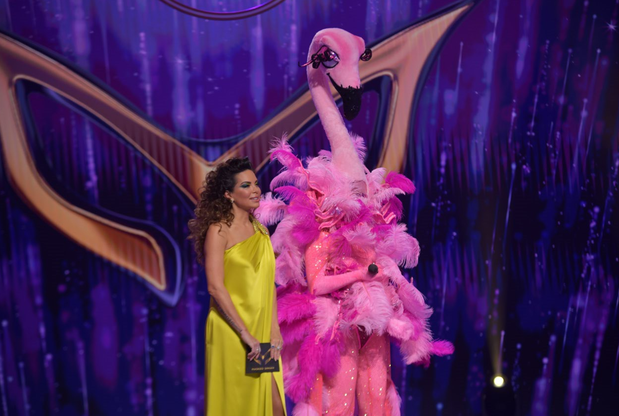 ANKETA Je li Flamingica trebala ispasti iz 'Masked Singera'?