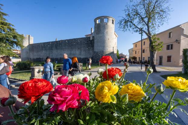 Svetivinčenat: Fešta od Rožic