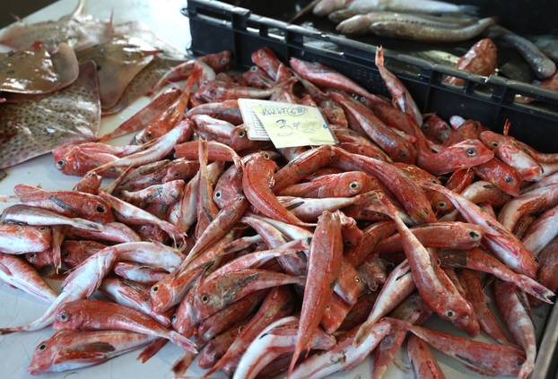Šibenik: Ponuda ribe na šibenskoj ribarnici