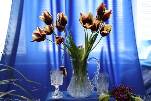 U Dugom selu održan je sajam cvijeća