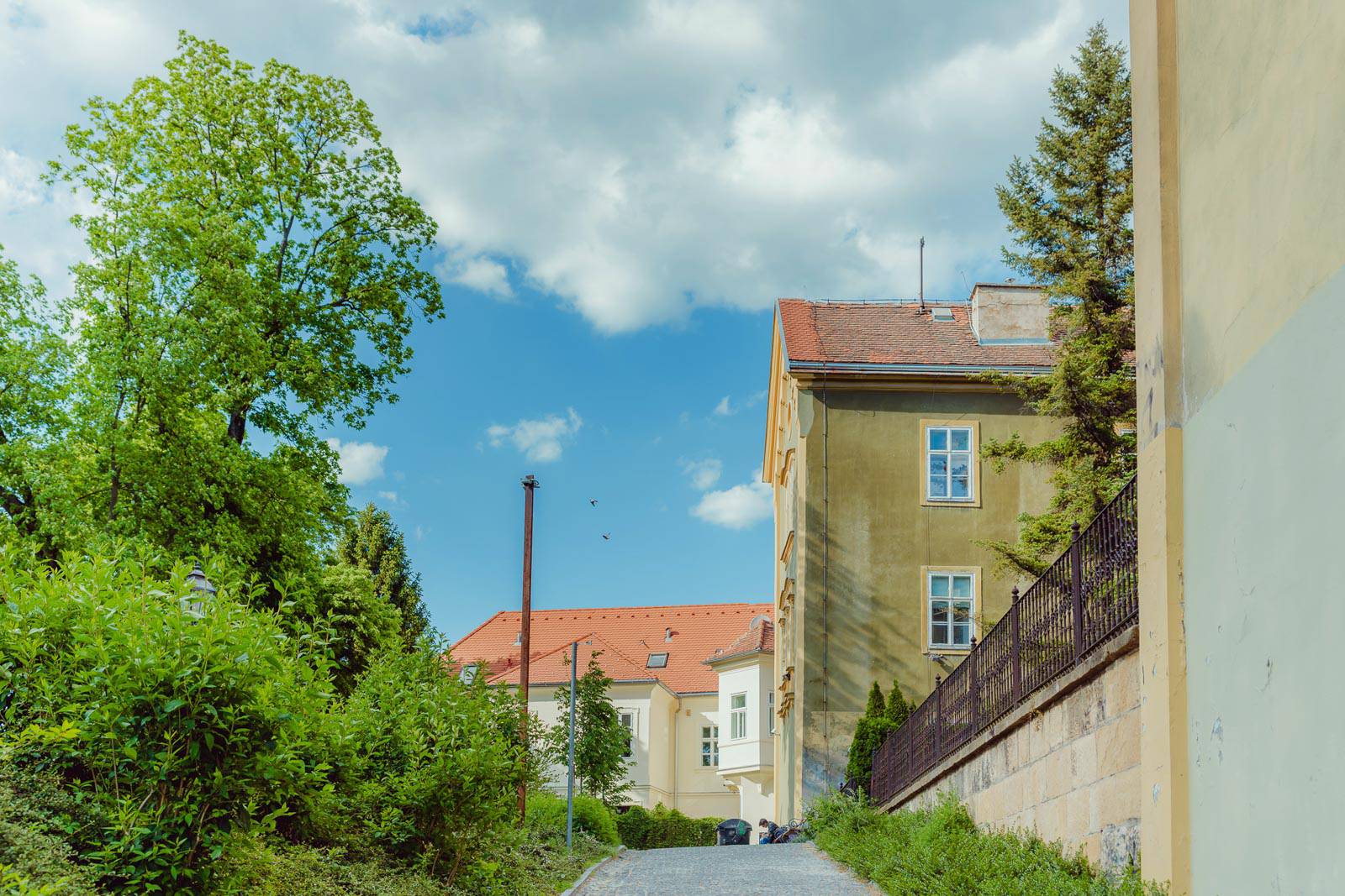 Usred ovog užasa vani utješite se galerijom sunčanog Zagreba