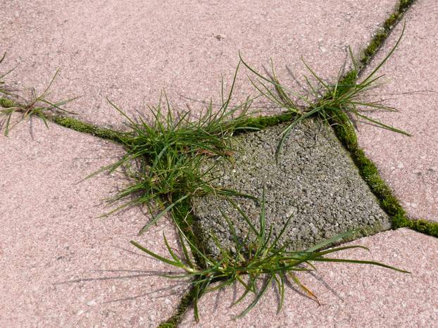 20 primjena sode bikarbone