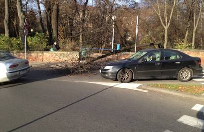 Stablo je palo na cestu, vozači se morali provlačiti kraj njega