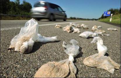 Vozač na autocestu bacio 800 vreća mačjeg izmeta