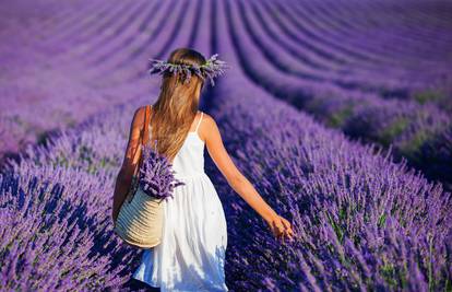 Lavanda zaustavlja ispadanje kose, uklanja akne, umiruje...