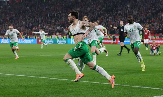 World Cup - UEFA Qualifiers - Group F - Hungary v Republic of Ireland