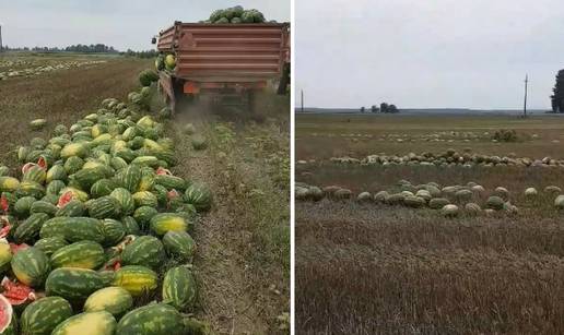 Morao baciti 25 tona lubenica: Želim ostati u Slavoniji, ali...