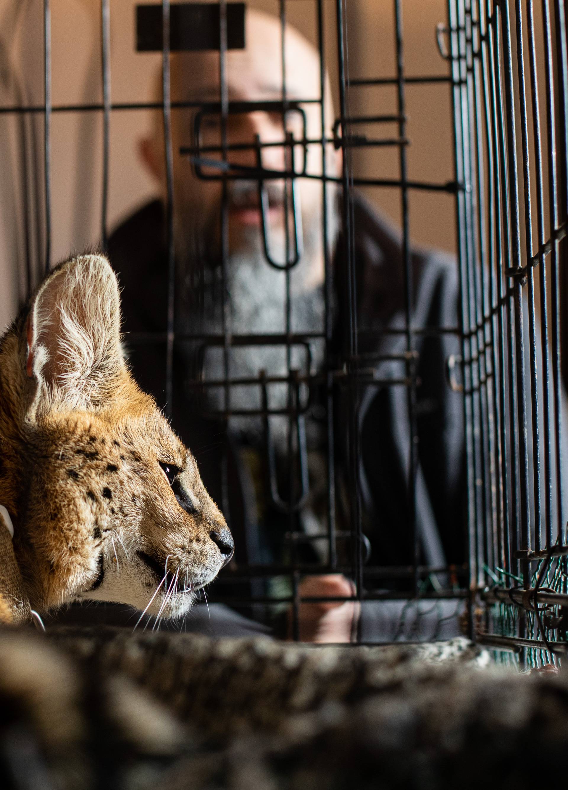 Hrvatski Dr. Dolittle: 'Životinje i ja govorimo istim jezikom...'