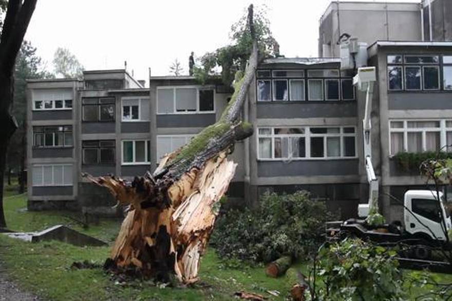 Kristina Štedul Fabec/Pixsell