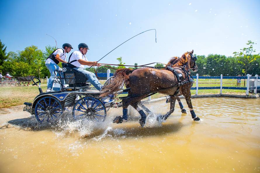 CAI FERIČANCI 2025: Slavonija u punom galopu: konjičko natjecanje, vino i doživljaji!