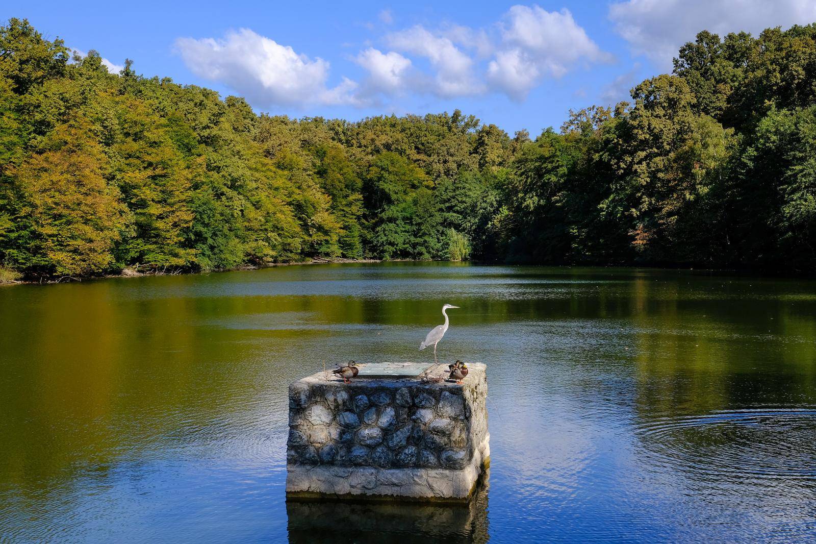 Zagreb: Boje jeseni u parku Maksimir